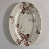 リュネヴィル プリムヴェール オーバル 大皿