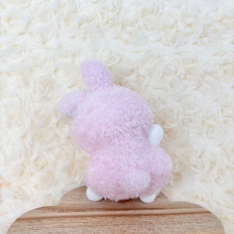 フレフレチアちゃん ミニうさぎ