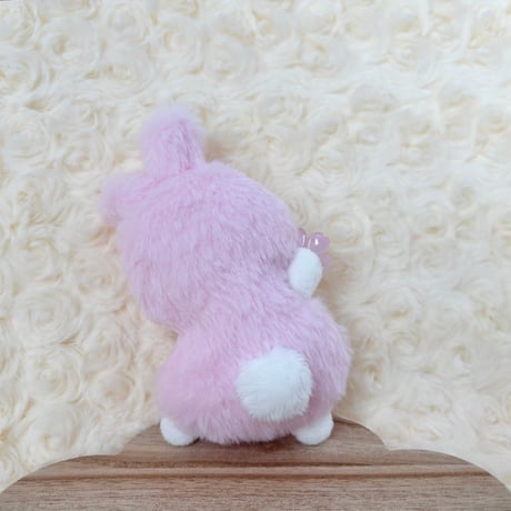 フレフレチアちゃん ミニうさぎ 桜