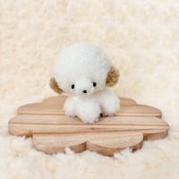 ぽむまるちゃん わんこ ②