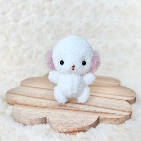 みにまむちゃん わんこ