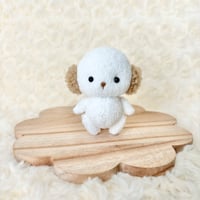 みにまむちゃん わんこ ①