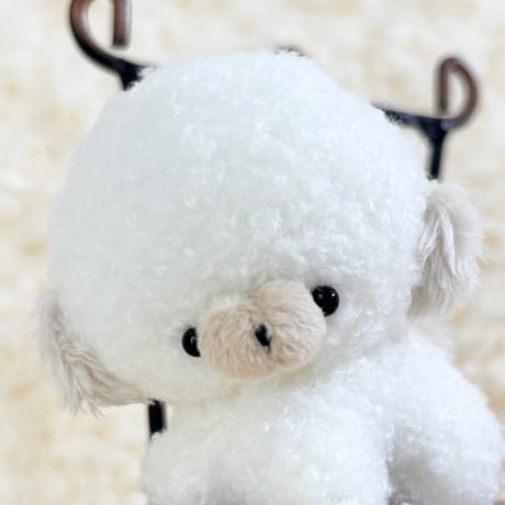 ぽむまるちゃん わんこ