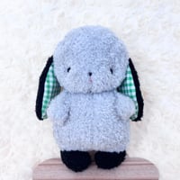 だっこちゃん うさぎ ①