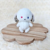 みにまむちゃん うさぎ