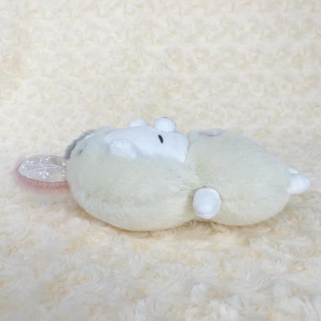 おやすみちゃん 白