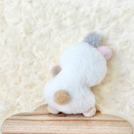 フレフレチアちゃん ミニうさぎ ①