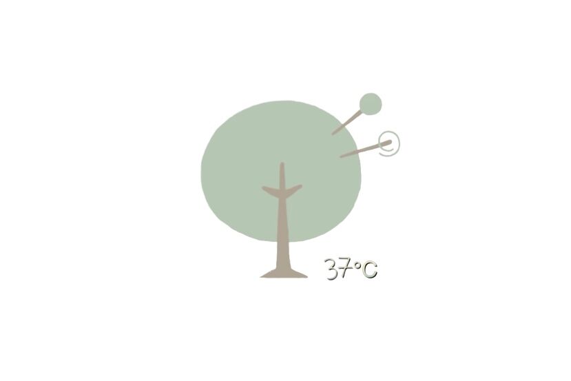 37℃