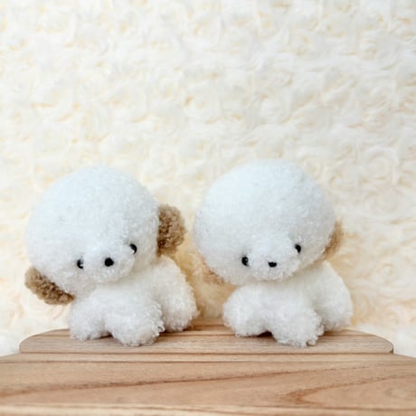 ぽむまるちゃん わんこ