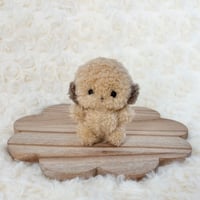 みにまむちゃん もこわんこ