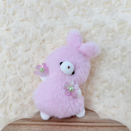 フレフレチアちゃん ミニうさぎ 桜
