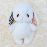 だっこうさぎちゃん