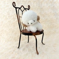 ぽむまるちゃん わんこ