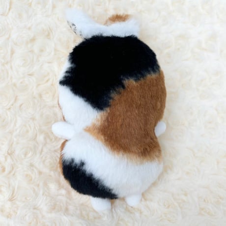 おやすみちゃん
