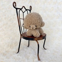 ぽむまるちゃん わんこ