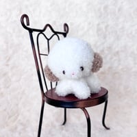 ぽむまるちゃん わんこ