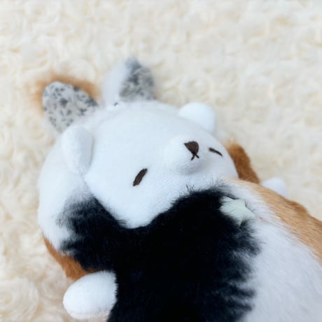 おやすみちゃん