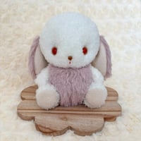 専用ページ