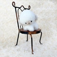 ぽむまるちゃん わんこ