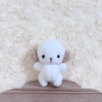 みにまむちゃん わんこ