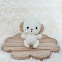 みにまむちゃん わんこ