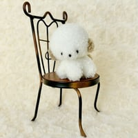 ぽむまるちゃん わんこ