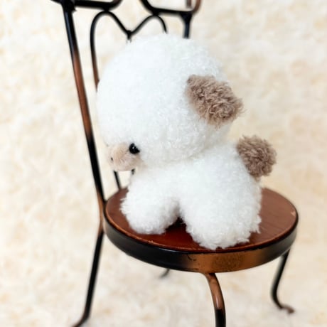 ぽむまるちゃん わんこ