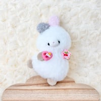 フレフレチアちゃん ミニうさぎ ②
