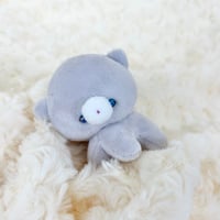 ぽむまるちゃん にゃんこ