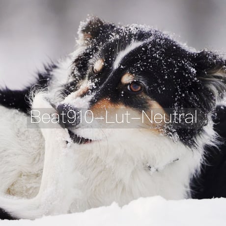 beat910オリジナルLUT 『beat910-LUT-Cine4-neutral1.8』