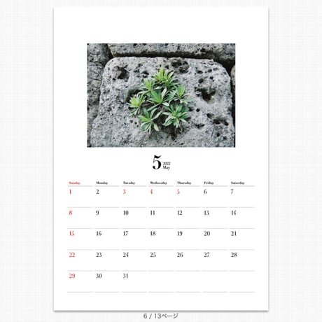 [受注生産] Photo Calendar 2022 │ Asuka Yasunaga │FUJIFILM COYOMI