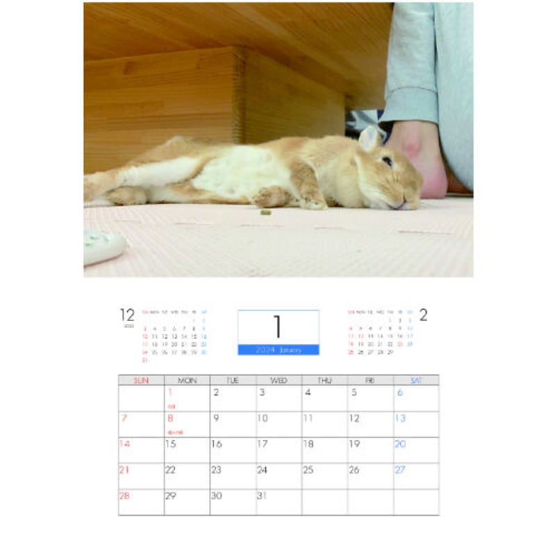 予約販売】 うさぎ うちのウサ 2024年 壁掛け カレンダー KK24087