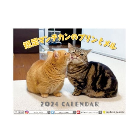 【予約販売】 短足猫 マンチカンのプリンとメル 2024年 卓上 カレンダー TC24118