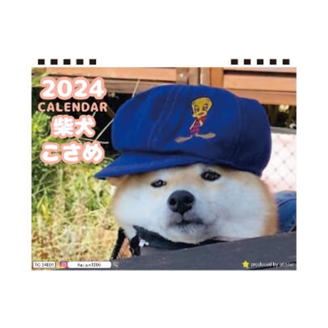 【予約販売】 柴犬のこさめ 2024年 卓上 カレンダー TC24057