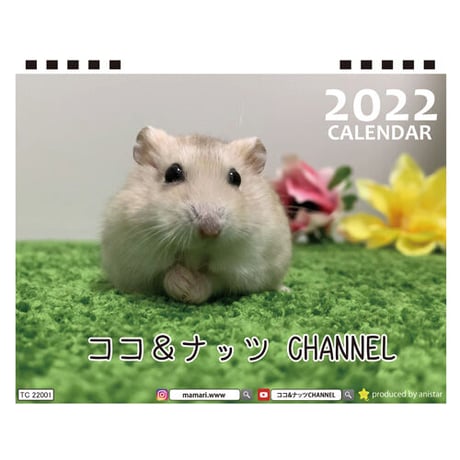 【予約販売】 ハムスター ココ＆ナッツ CHANNEL 2022年 卓上半面 カレンダー TC22013
