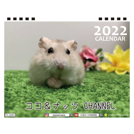 【予約販売】 ハムスター ココ＆ナッツ CHANNEL 2022年 卓上全面 カレンダー TC22012