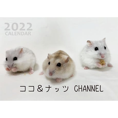 【予約販売】 ハムスター ココ＆ナッツ CHANNEL 2022年 壁掛け カレンダー KK22011