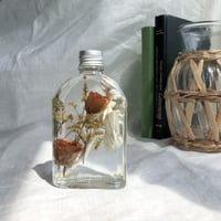 Herbarium ナチュラルホワイト !在庫処分SALE! | fores.
