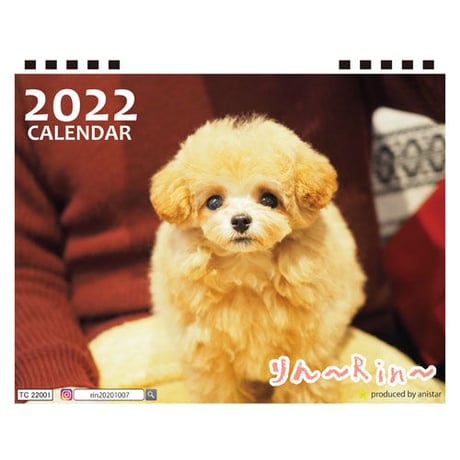 【予約販売】 トイプードル りん ～Rin～ 2022年 卓上 カレンダー TC22066