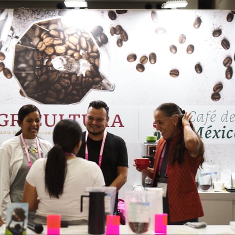 MEXICO/Mundo Maya　Natural/Carlos Cadena   200g【 Huehuetepan農園】