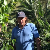 Catuai　White Honey/Costa Rica 200g【Santa Teresa農園】