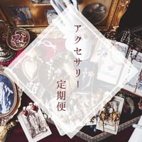 アクセサリー定期便