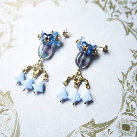 Forget me nots
