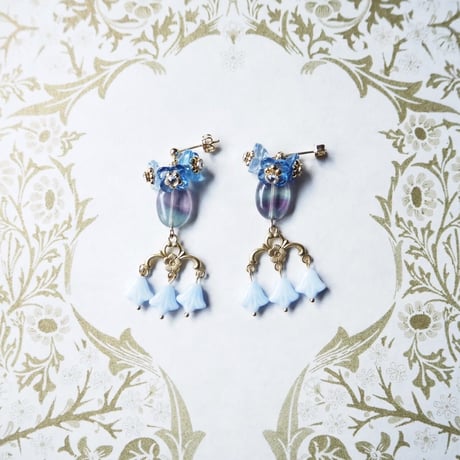 Forget me nots