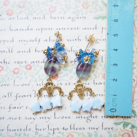 Forget me nots