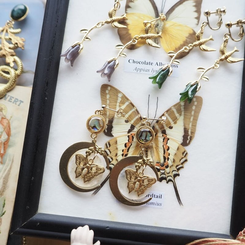 セクロピアサン 蛾の標本 額入り UVカット インテリアに◎ Yahoo!オークション - A141T ヨナグニサン 与那国蛾 ヨナグニ蛾