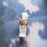 Moth ring