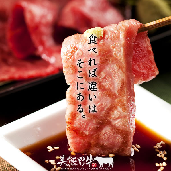 美熊野牛 焼肉食べ比べ 6種セット500g［竹］【送料無料】 | 美熊野牛の岡田