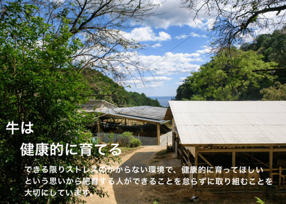 5f72f9464b0839175875955c