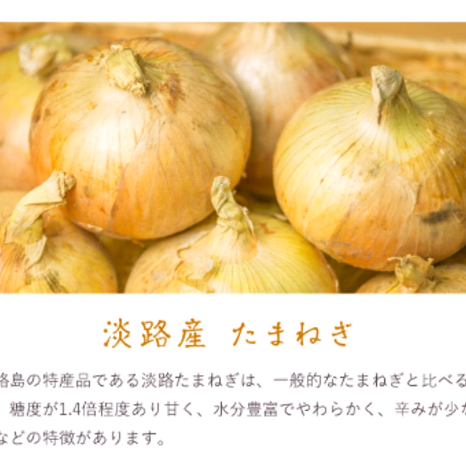 6181042e9dbfee2e23cb2ed2